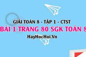 Giải bài 1 trang 80 Toán 8 Tập 1 SGK Chân trời sáng tạo